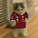 mvrzyn97