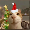 avatar cwistmasviccy