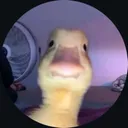 alhz