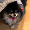 aimamboss