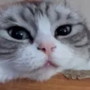 xqbh