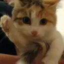 dark_moustache avatar