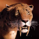 pantheradude's Avatar