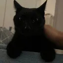 lavaking6546