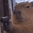 fenzsly