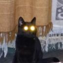 Evka's avatar