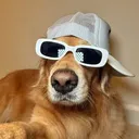 sticksc4