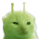 catgamer.