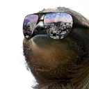slothstuff