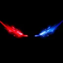 ripduck19