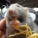 ratstar9