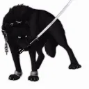 darkwolfy87