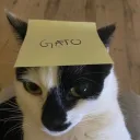 guizyx