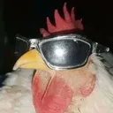 nokternalz