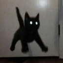 avatar 𝒮𝓆𝓊𝑒𝑒𝒷𝓈