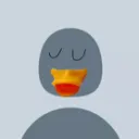 notaduck4617