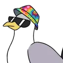 sea.gull