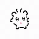 .dupo