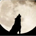 luna6193