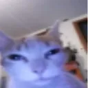 sebbeisme