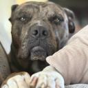 avatar Kαrmα is α bitch