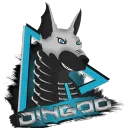 dingo0