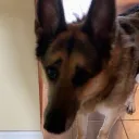 ᴿᴱ⋆  ︴Carrot 🥕