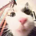 pebba