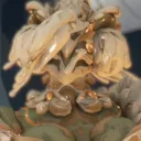 enkazui