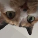 biana