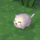 platicorn