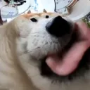aznwiseman