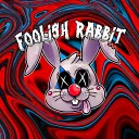 foolishrabit