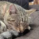 rlenegrace
