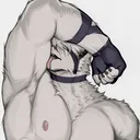h.toga