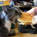 avatar .𖥔 ݁ ˖ azu ໒꒱ ‧₊˚