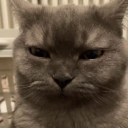 avatar .𖥔 ݁ ˖ azu ໒꒱ ‧₊˚