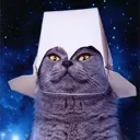 drfloof
