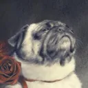 sirpugglesworth