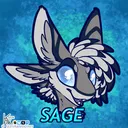 sagesight