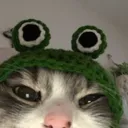 mralphaturkey
