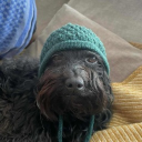 avatar gaogao_nikuball