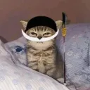 mangolover23