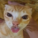 avatar Clowd VHS 🐸🍟