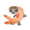 elgoodboi
