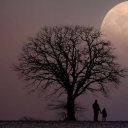 avatar 🪾• 𝐄𝐬𝐭𝐲𝐱