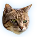 runibl