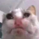 efanga