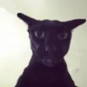 andpeu_