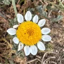 sebasbad.